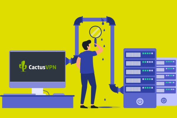 CactusVPN Protection contre les fuites DNS